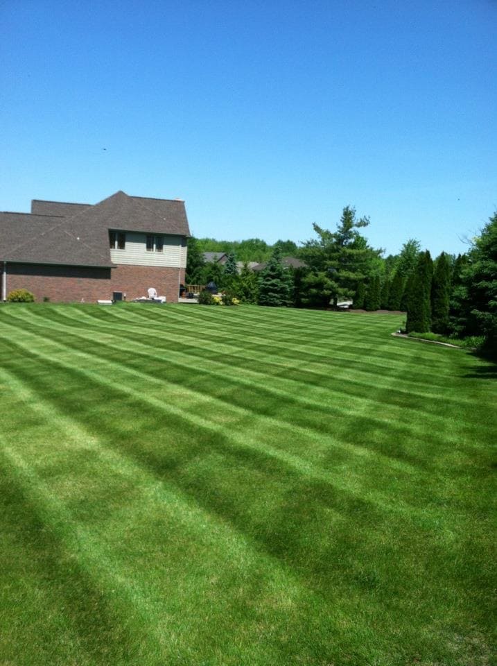 Painting Services Image 2